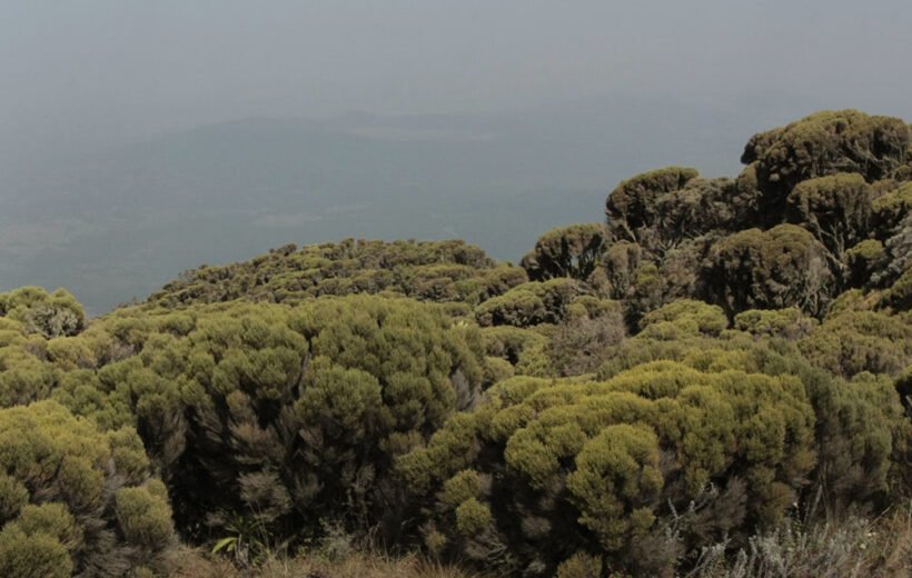 Mount Meru Climbing 4 Days