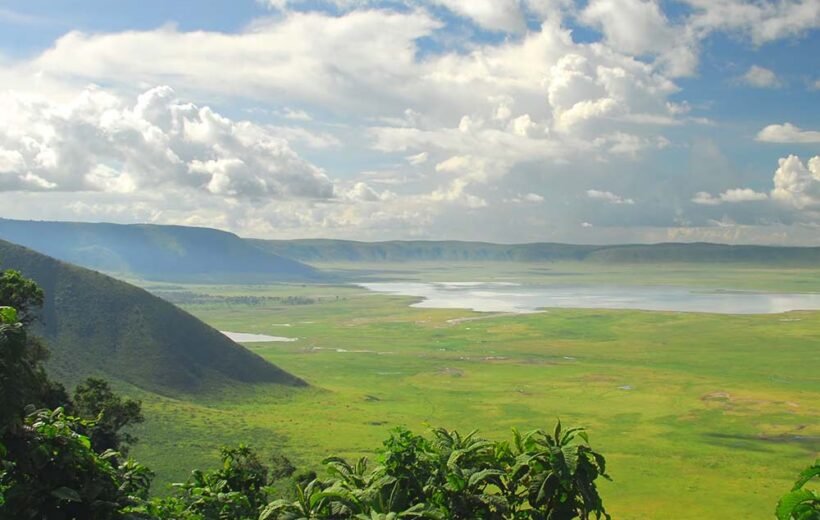 Ngorongoro Crater Day Tour