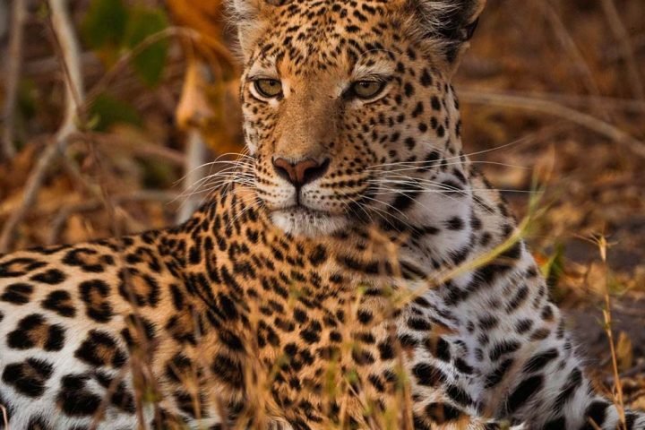 3-days-tanzania-safari-gallery-2
