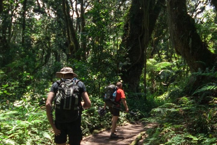 Kilimanjaro-Expedition-3.jpg