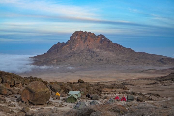 Kilimanjaro Mountain Habitats (5)