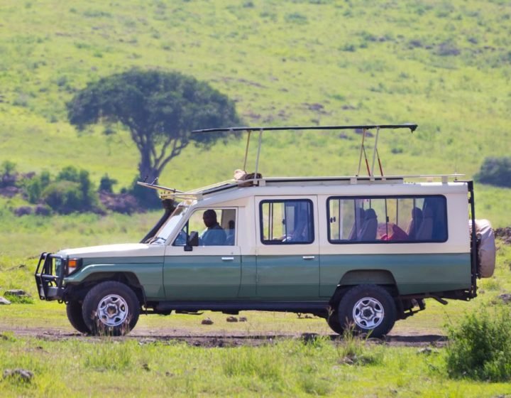 Leen Adventures Safari Vehicle (1)