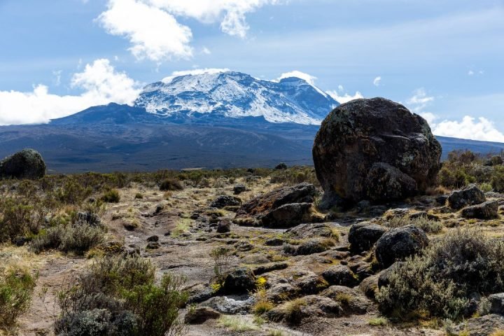 Mt Kilimanjaro