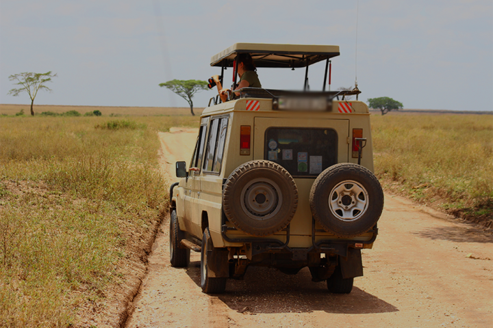 Safari To Manyara National Park & Ngorongoro Crater