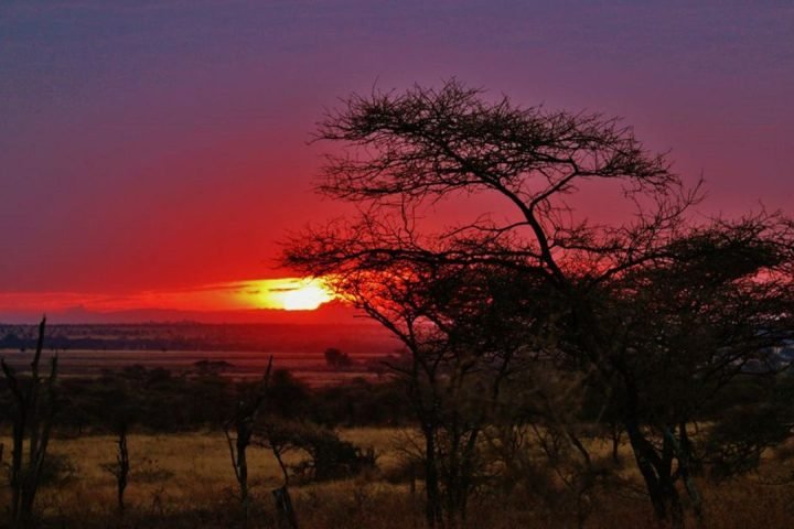 Tanzania Picture (12)