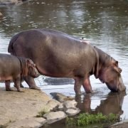 Tanzania Picture (15)