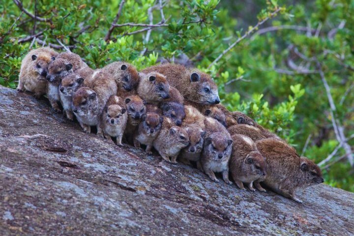 Tanzania Picture (32)