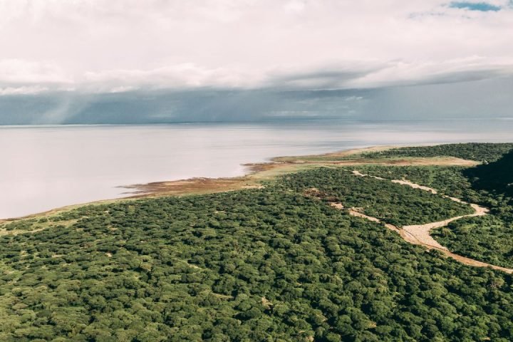 manyara