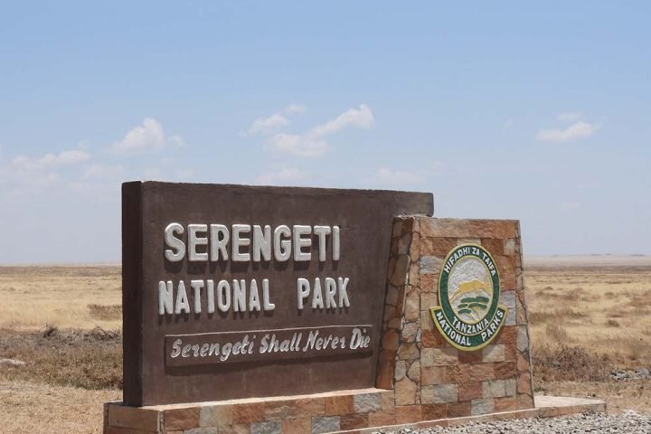 serengeti-destination