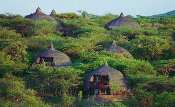 serengeti safari lodge