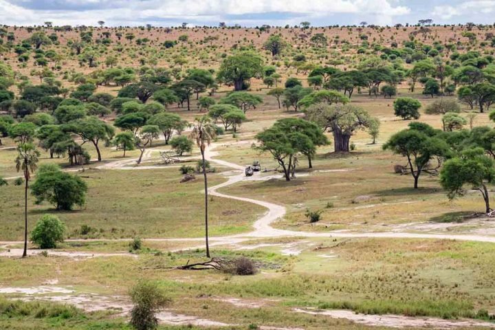 tarangire-day-tour